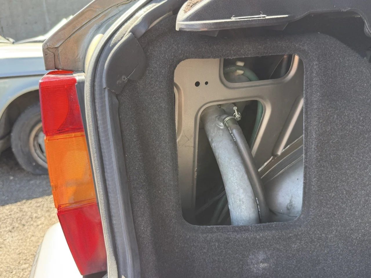 IMG_1930 – grande.jpeg