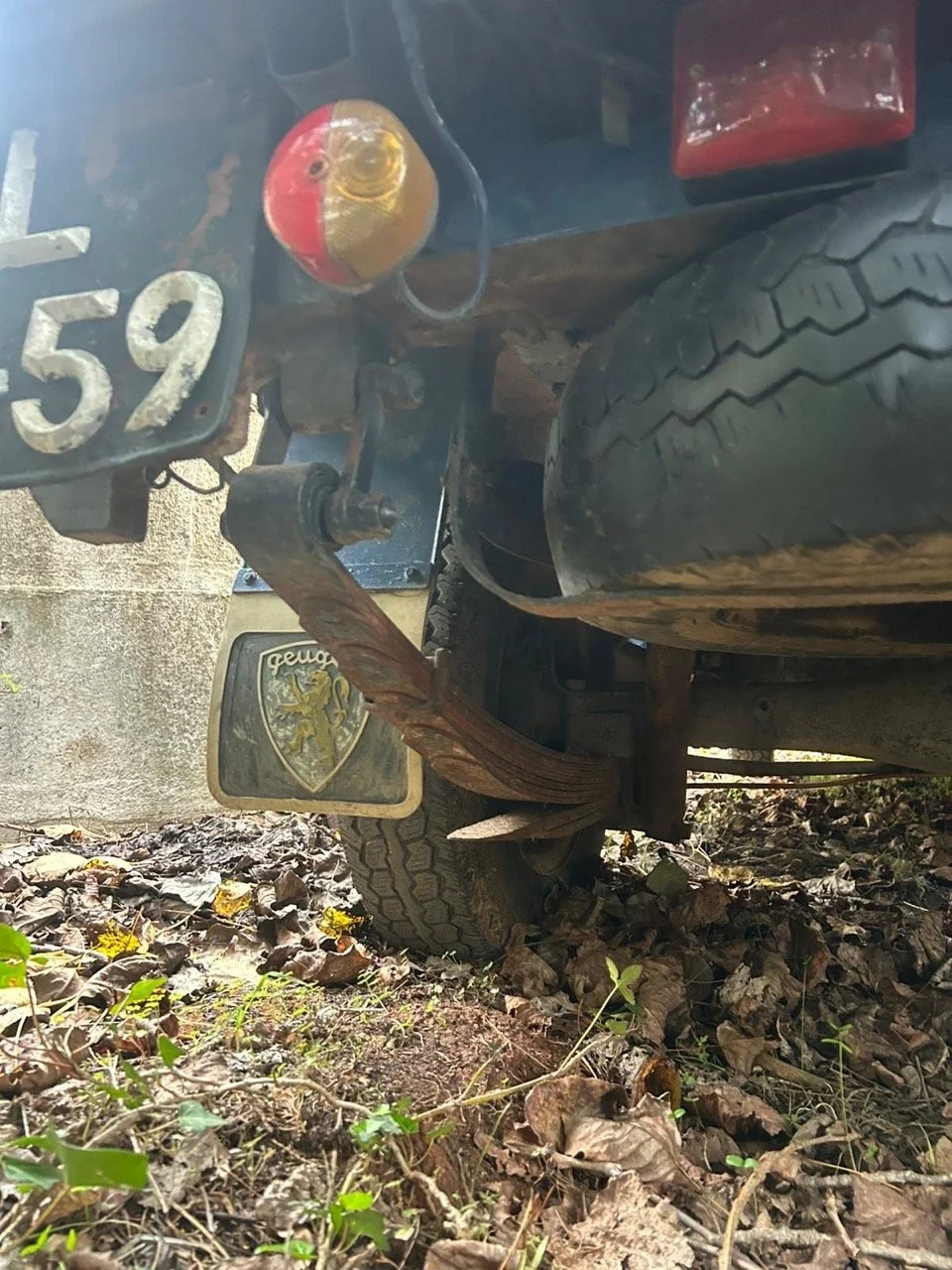 6f724bc4-290d-41b2-bc95-86d3abda6f82 – grande.jpeg