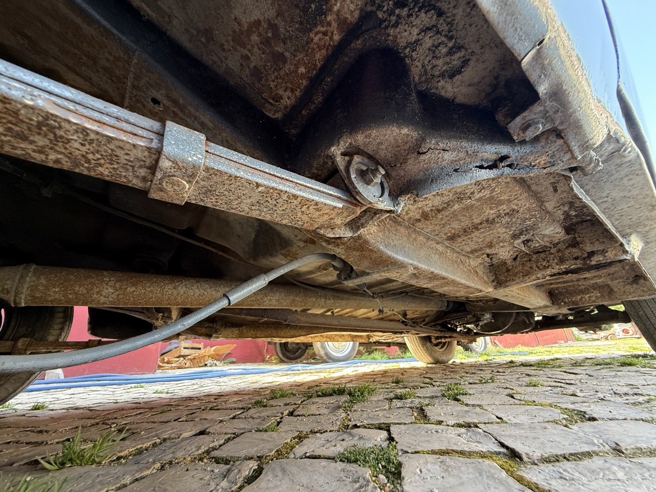 IMG_3567 – grande.jpeg