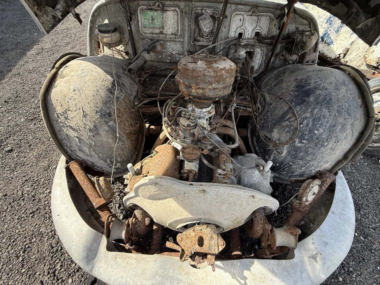 IMG_0339 – grande.jpeg