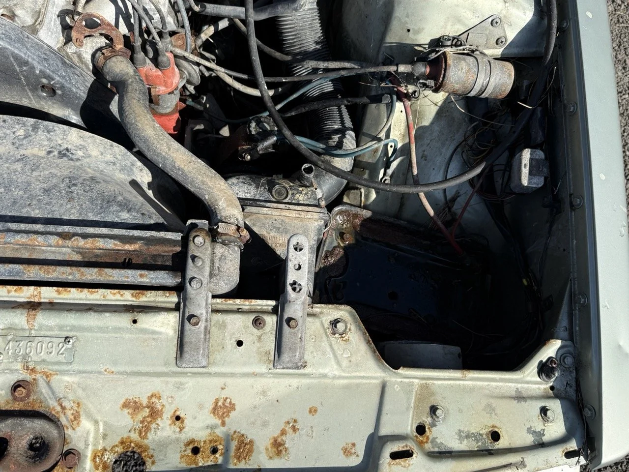 IMG_1165 – grande.jpeg