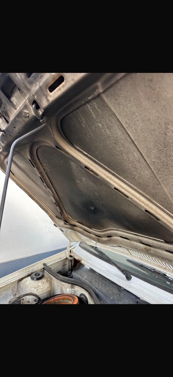 IMG_5271 – grande.jpeg