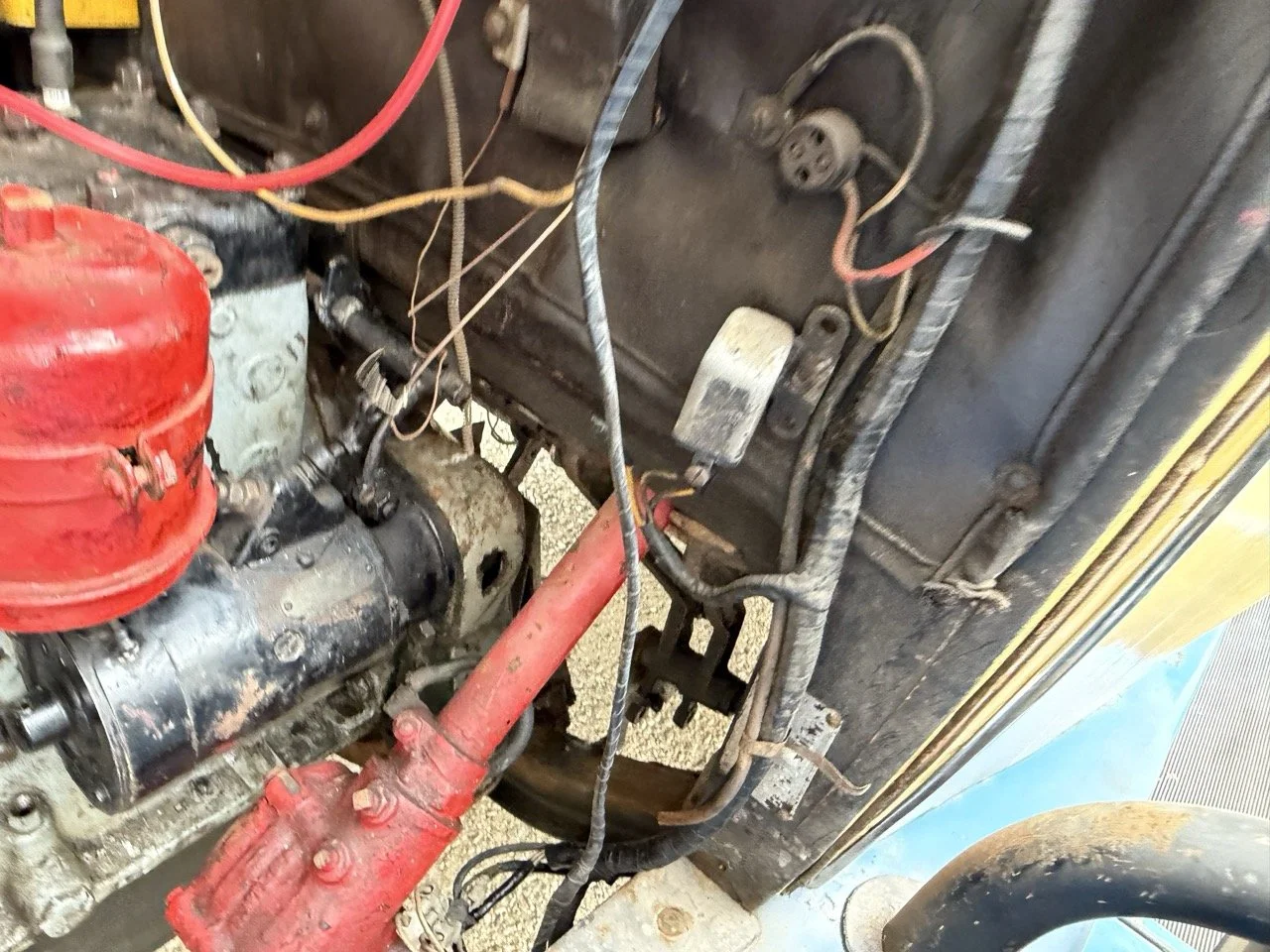 IMG_1550 – grande.jpeg