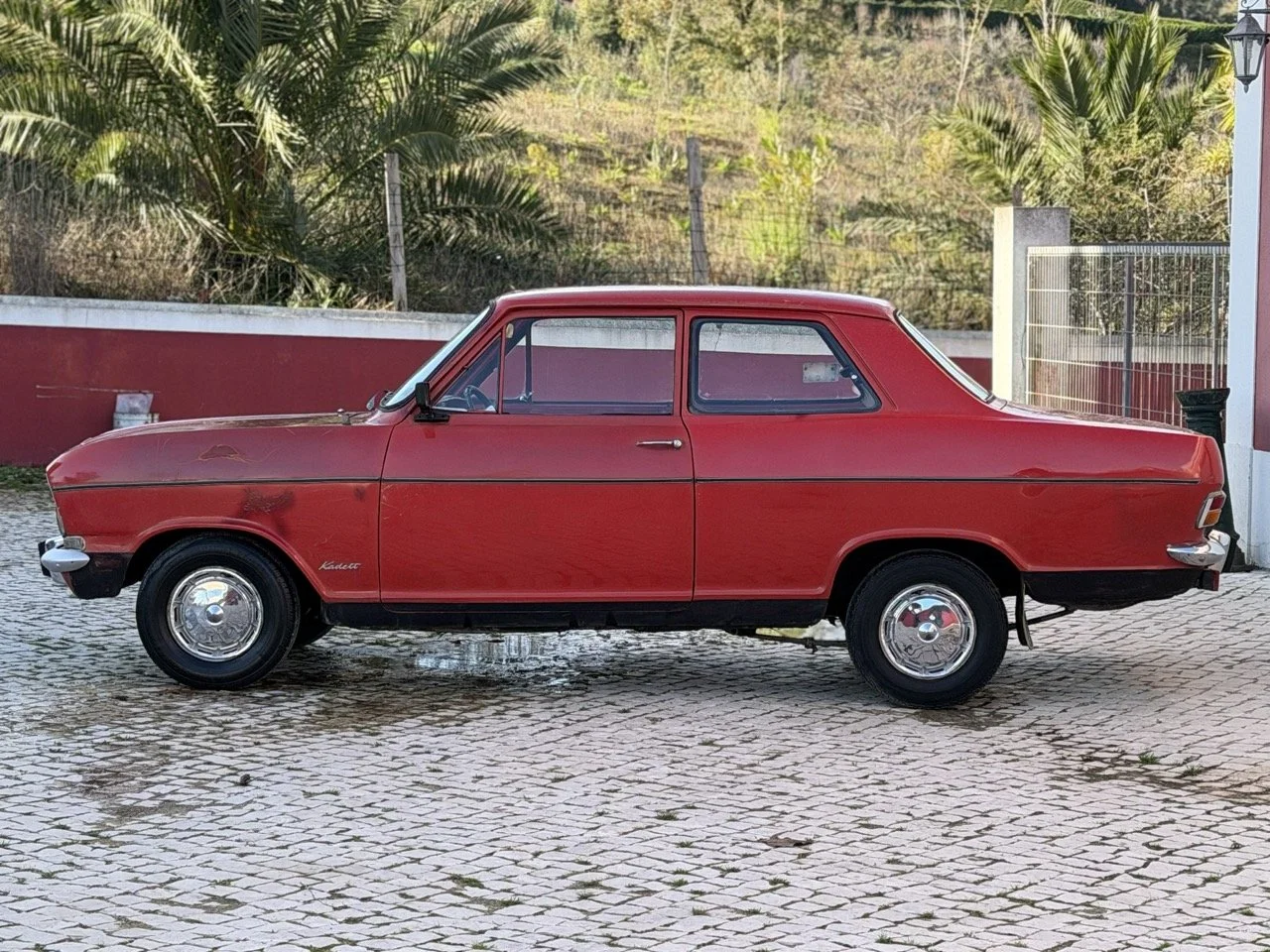 IMG_7684 – grande.jpeg