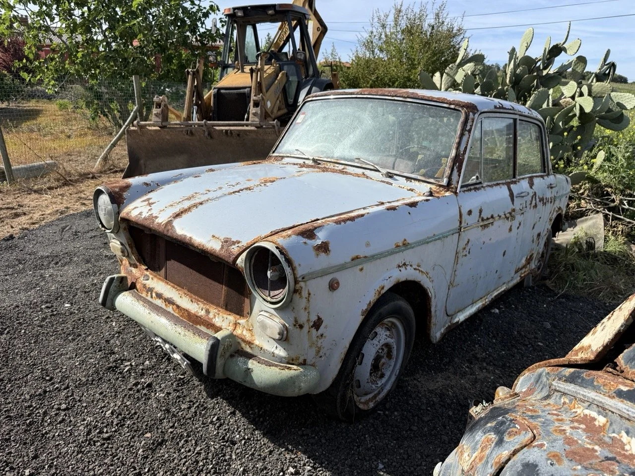 IMG_0480 – grande.jpeg