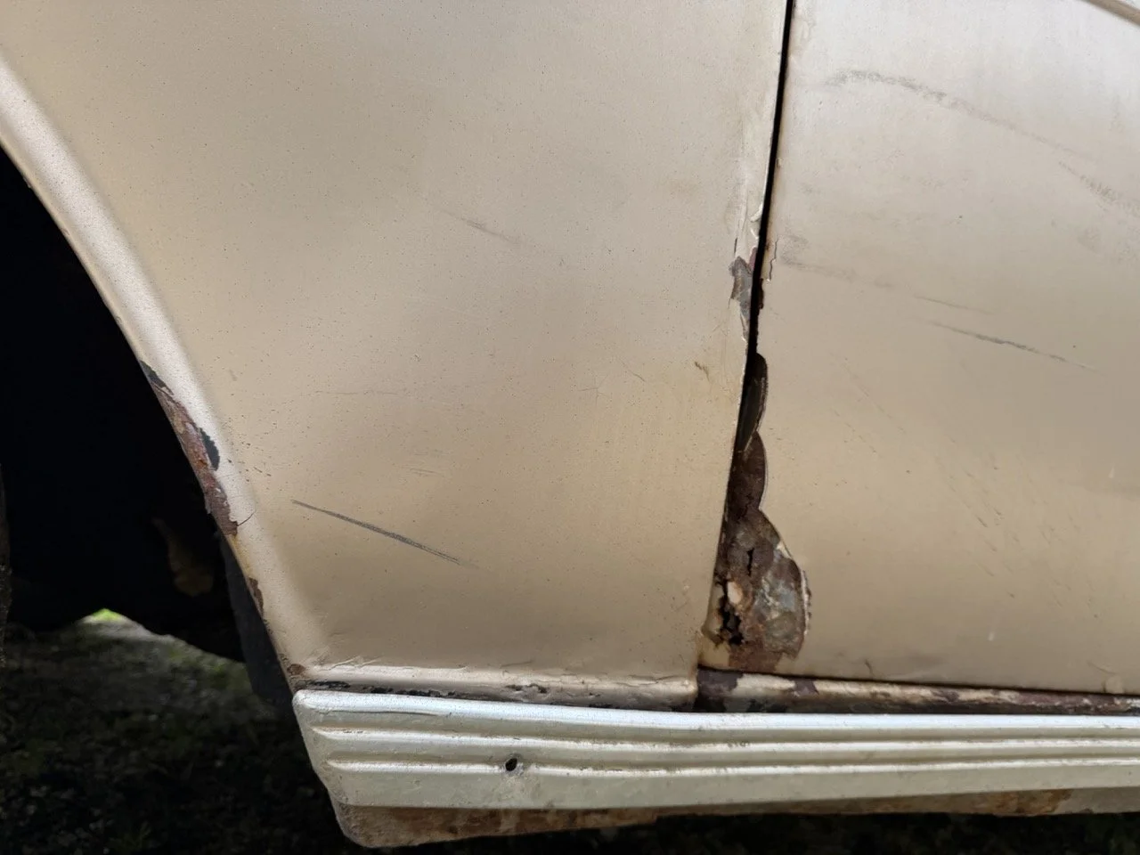 IMG_4903 – grande.jpeg