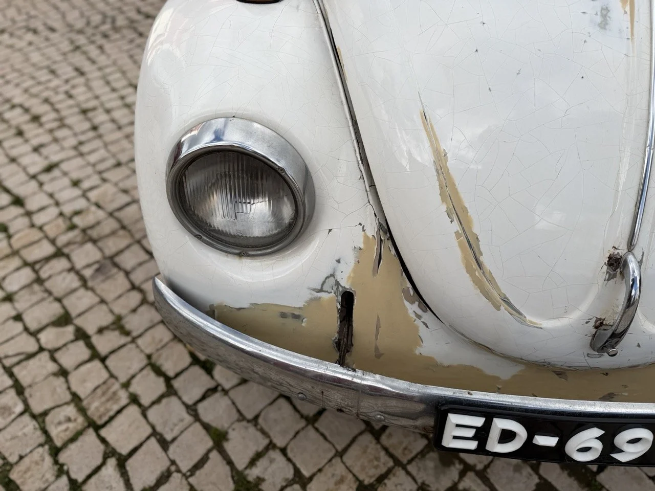 IMG_8662 – grande.jpeg