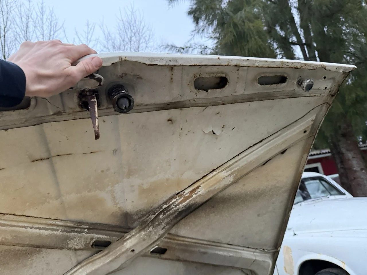 IMG_0163 – grande.jpeg