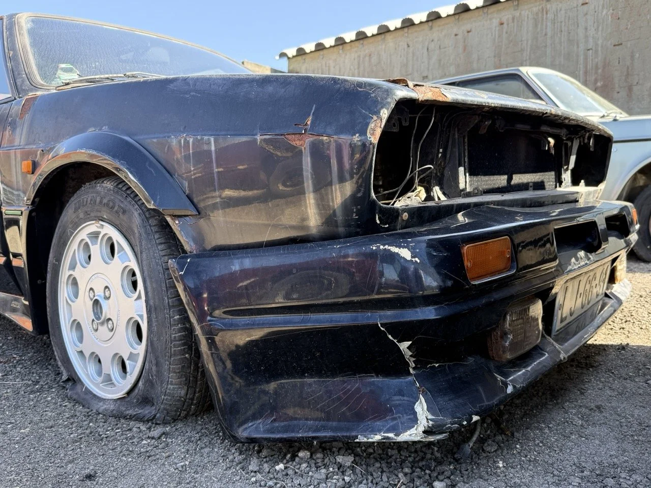 IMG_2921 – grande.jpeg