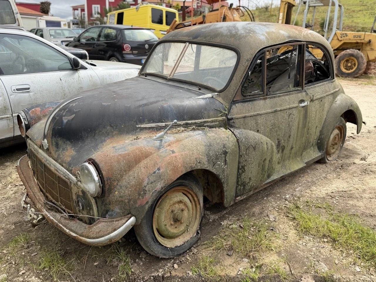 IMG_3831 – grande.jpeg