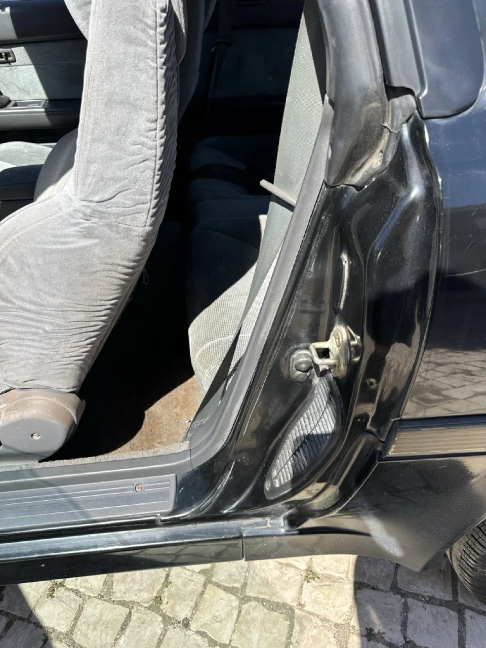 IMG_3094 – grande.jpeg