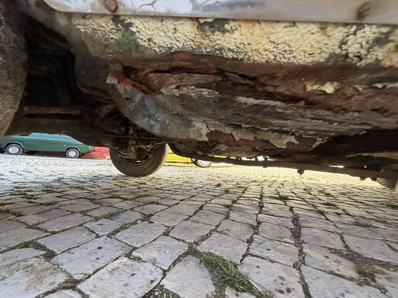 IMG_7081 – grande.jpeg