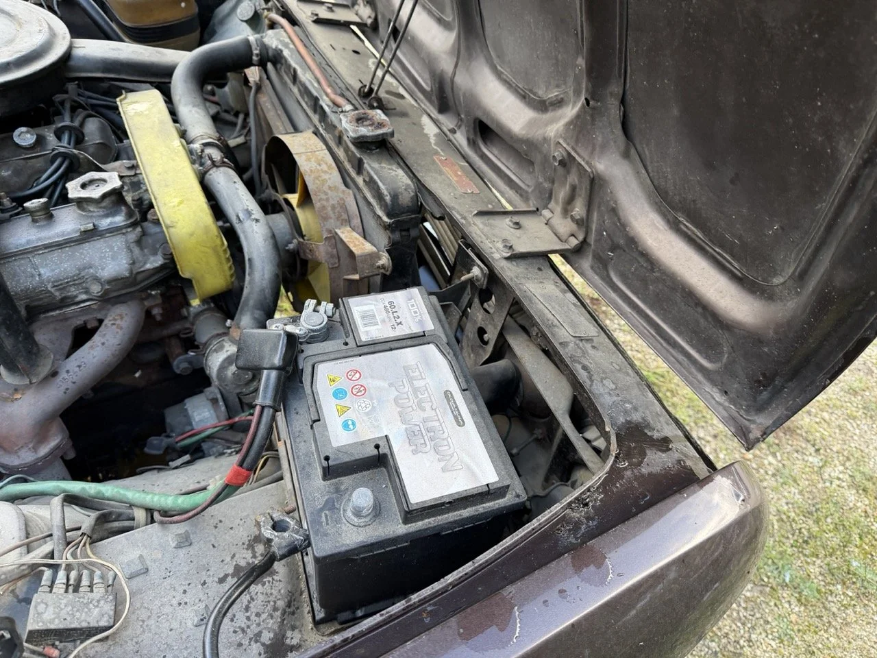 IMG_5286 – grande.jpeg