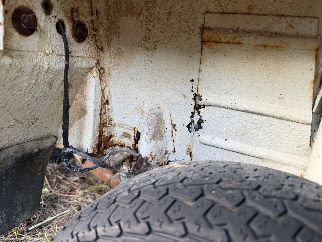 IMG_0913 – grande.jpeg