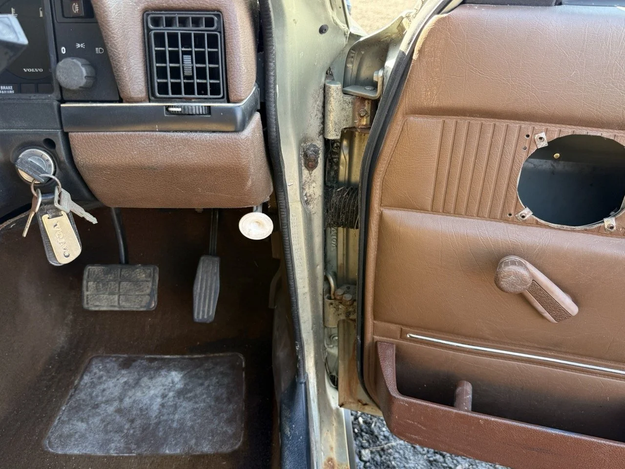 IMG_1214 – grande.jpeg