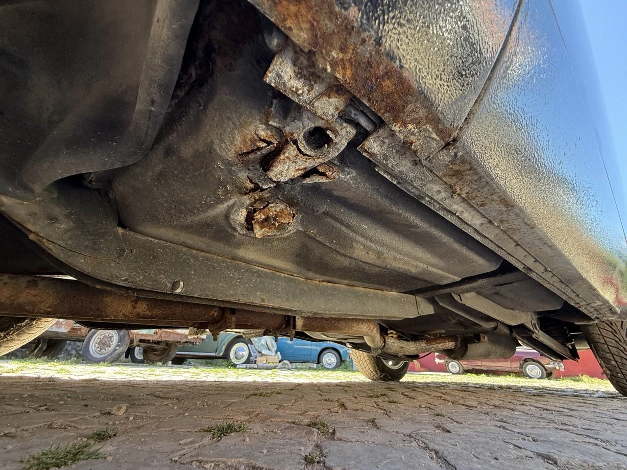 IMG_2245 – grande.jpeg