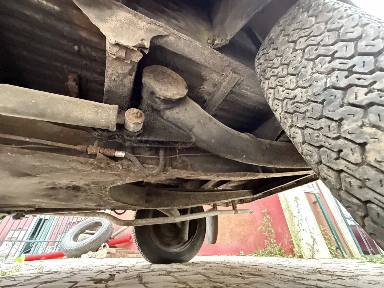 IMG_3815 – grande.jpeg