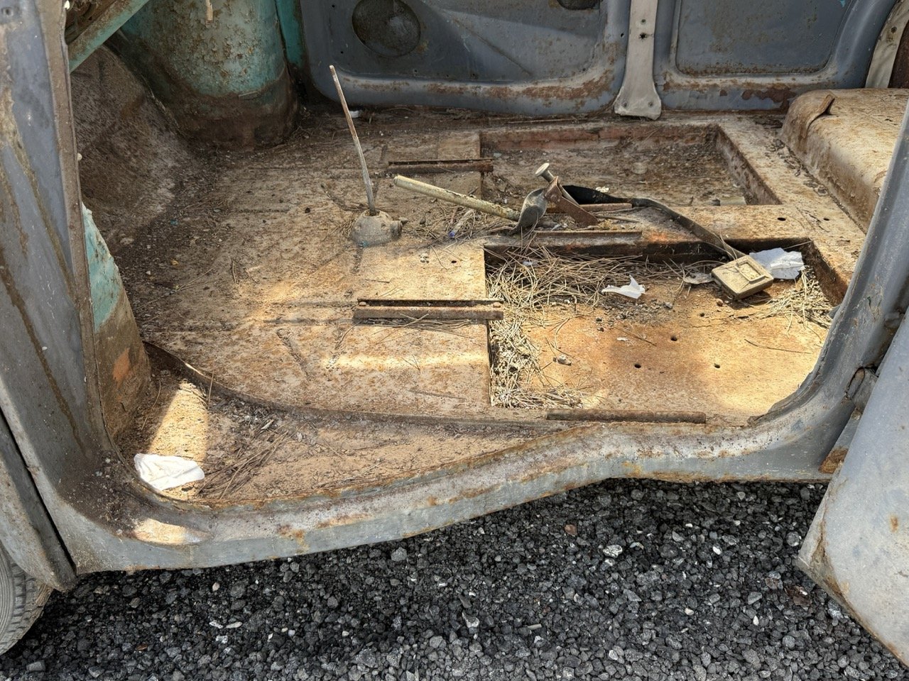 IMG_0290 – grande.jpeg