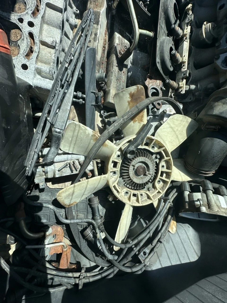 IMG_3088 – grande.jpeg