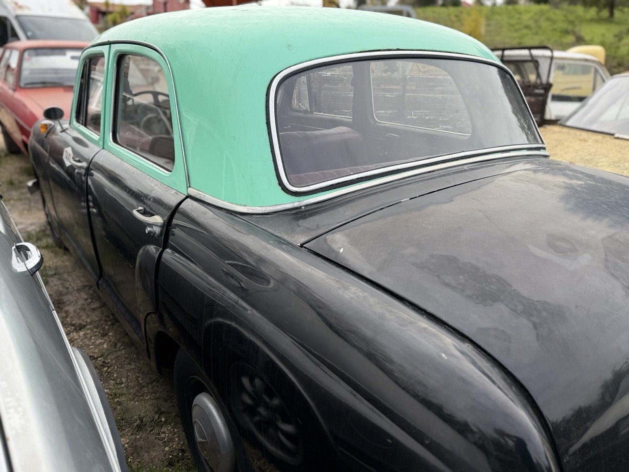 IMG_5012 – grande.jpeg