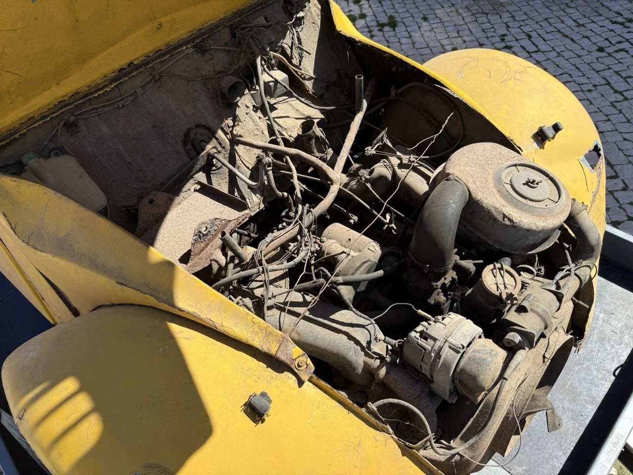 IMG_9100 – grande.jpeg