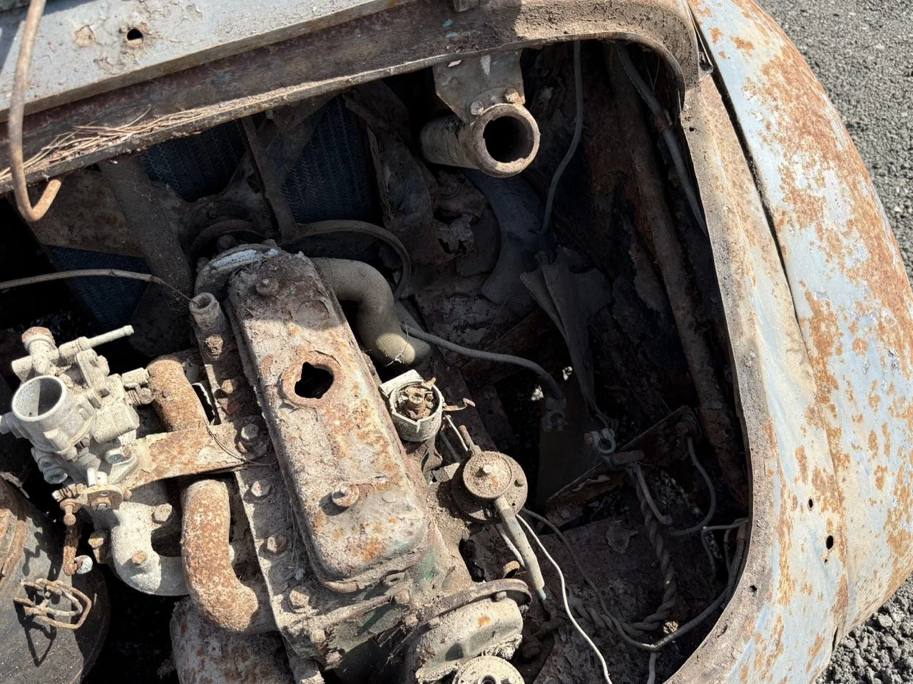 IMG_0312 – grande.jpeg