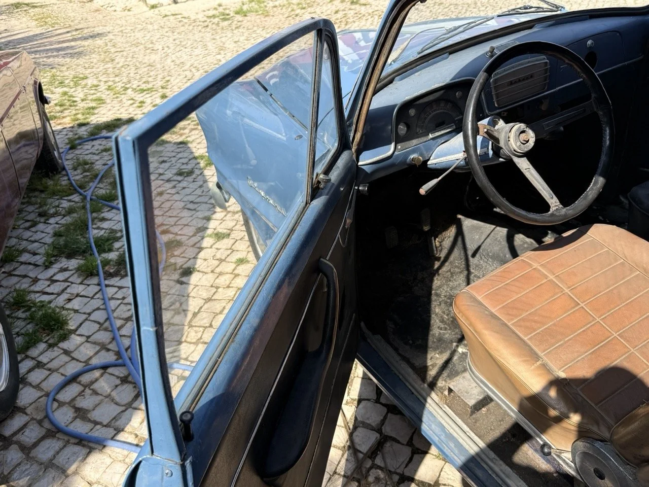 IMG_3558 – grande.jpeg