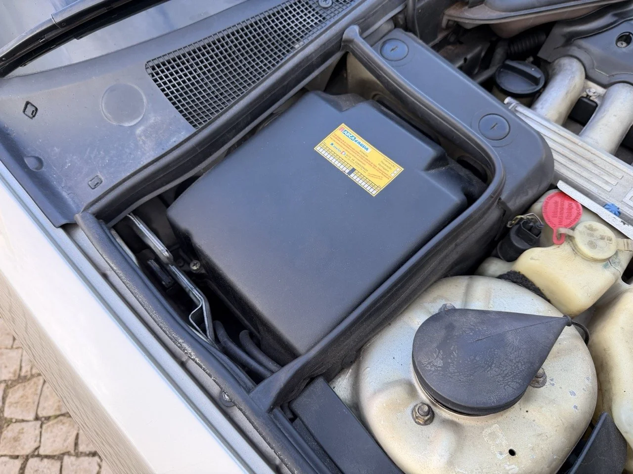 IMG_6981 2 – grande.jpeg