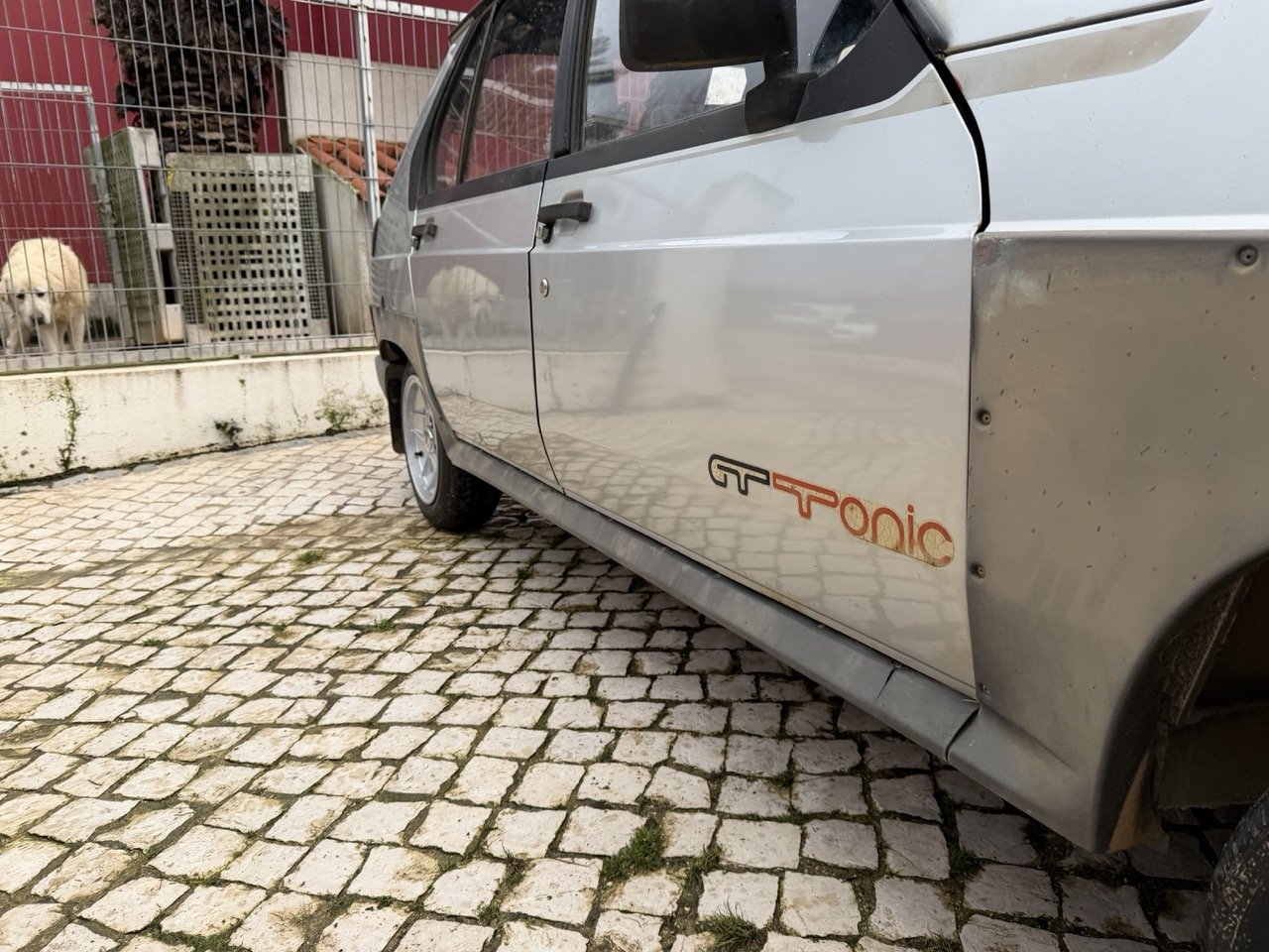 IMG_0555 – grande.jpeg