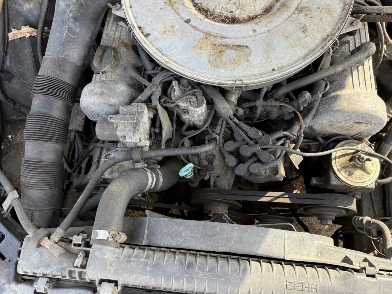 IMG_3420 – grande.jpeg