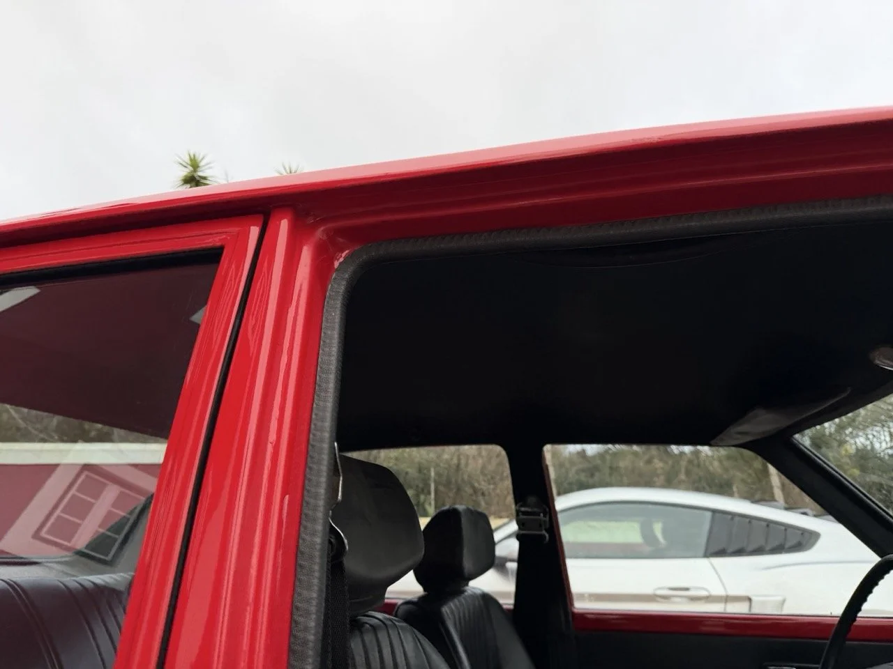 IMG_8246 – grande.jpeg