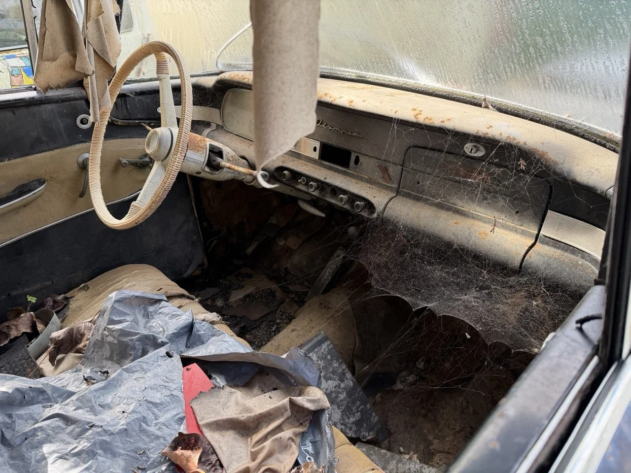 IMG_5056 – grande.jpeg