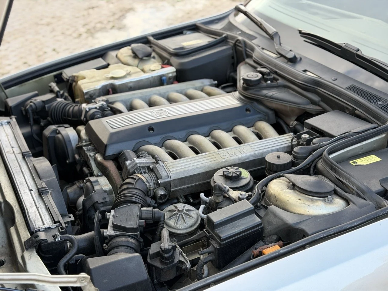 IMG_6972 2 – grande.jpeg