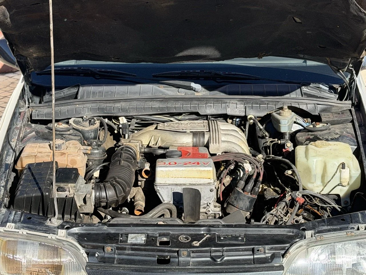 IMG_2746 – grande.jpeg