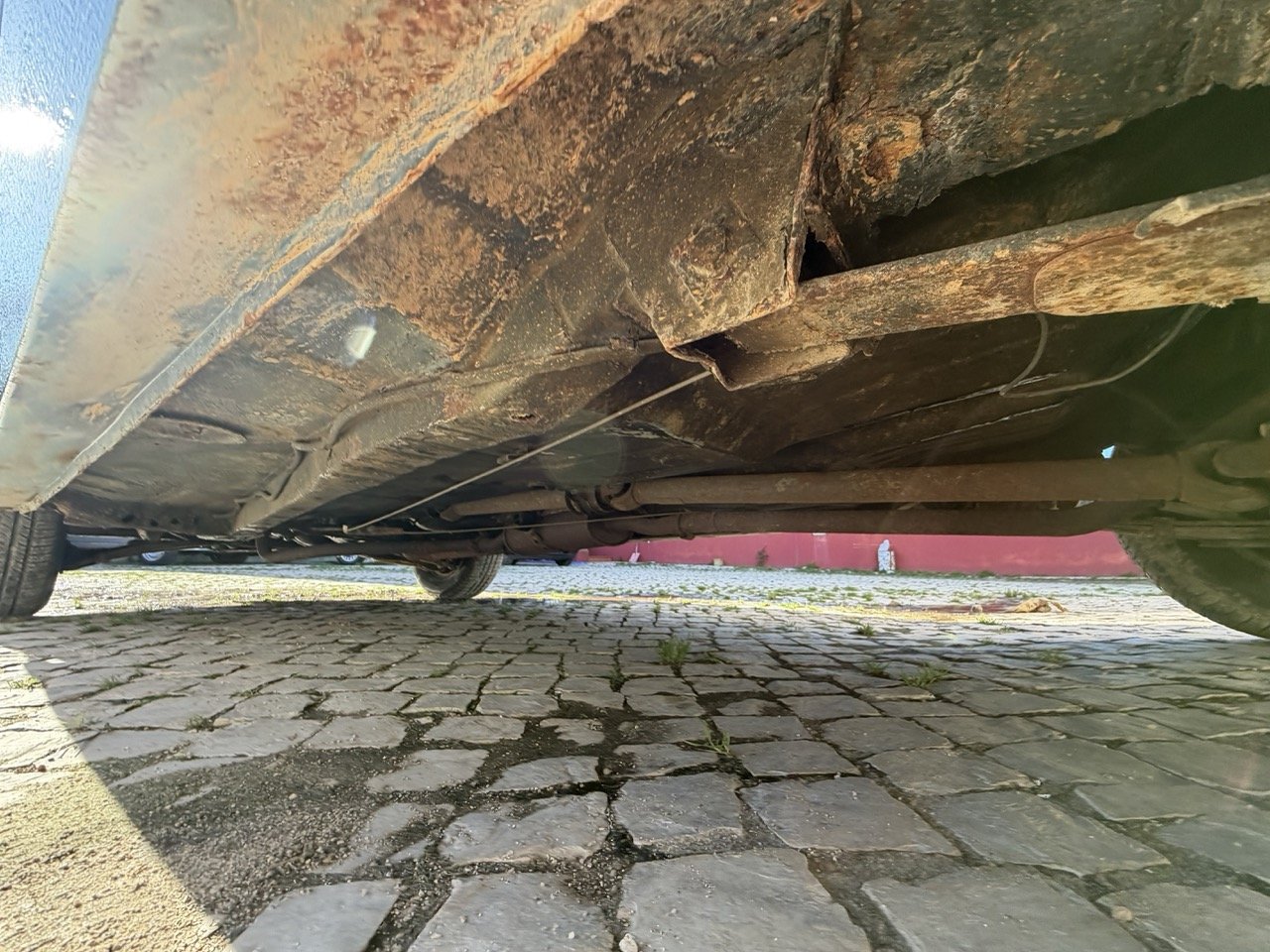 IMG_1908 – grande.jpeg