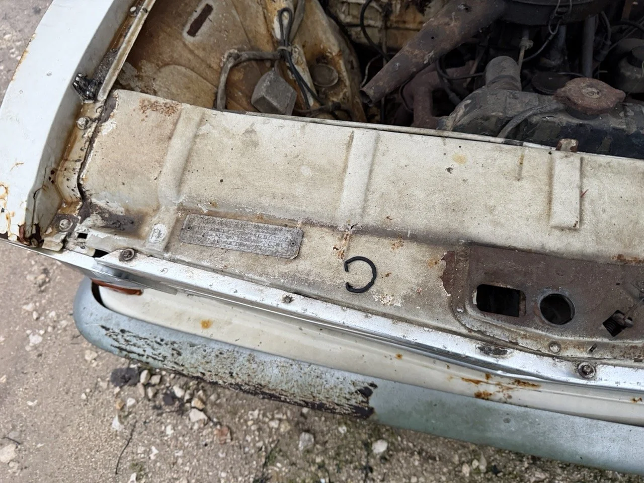 IMG_0155 – grande.jpeg