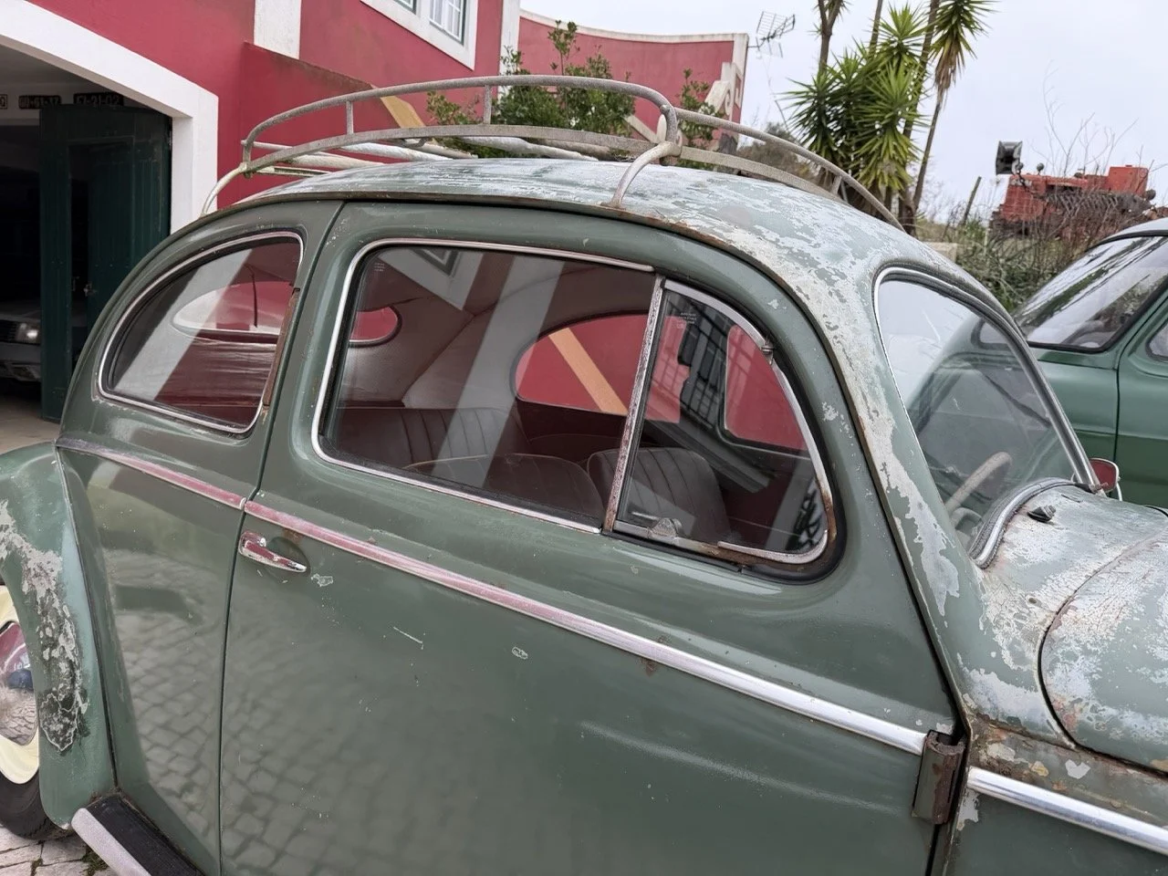 IMG_1214 – grande.jpeg