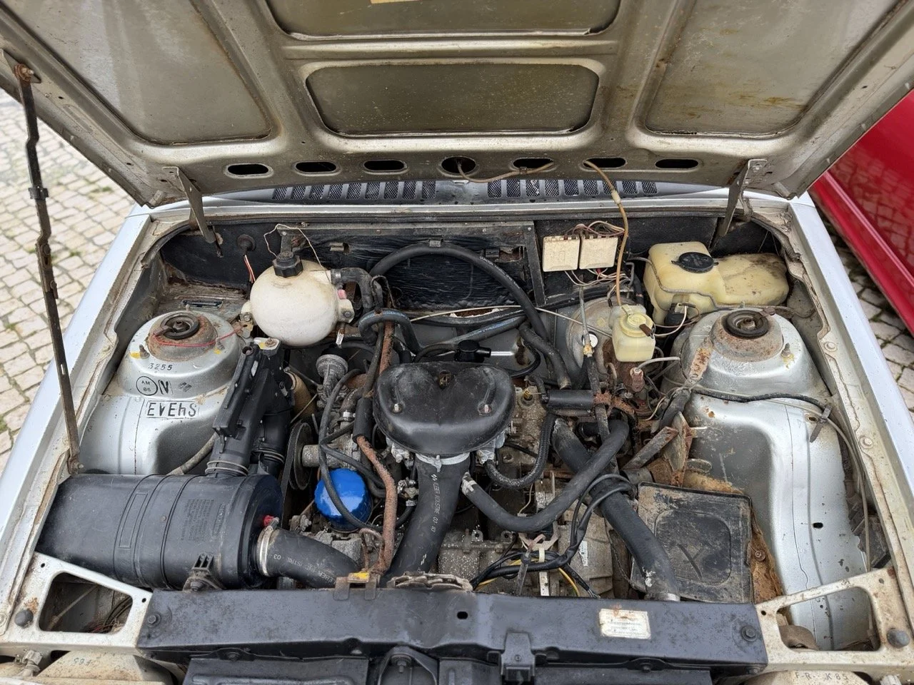 IMG_0528 – grande.jpeg