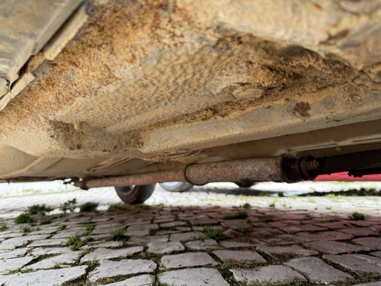 IMG_0557 – grande.jpeg