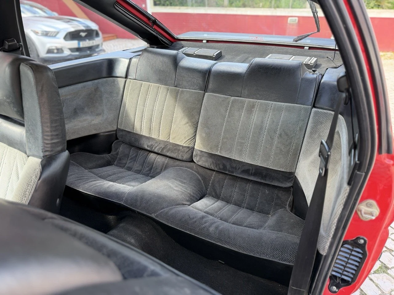 IMG_2316 – grande.jpeg