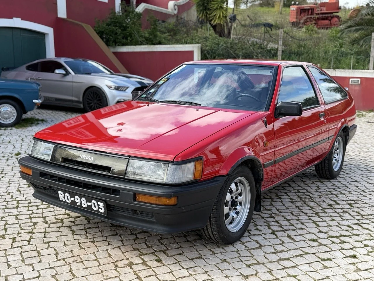 IMG_2294 – grande.jpeg