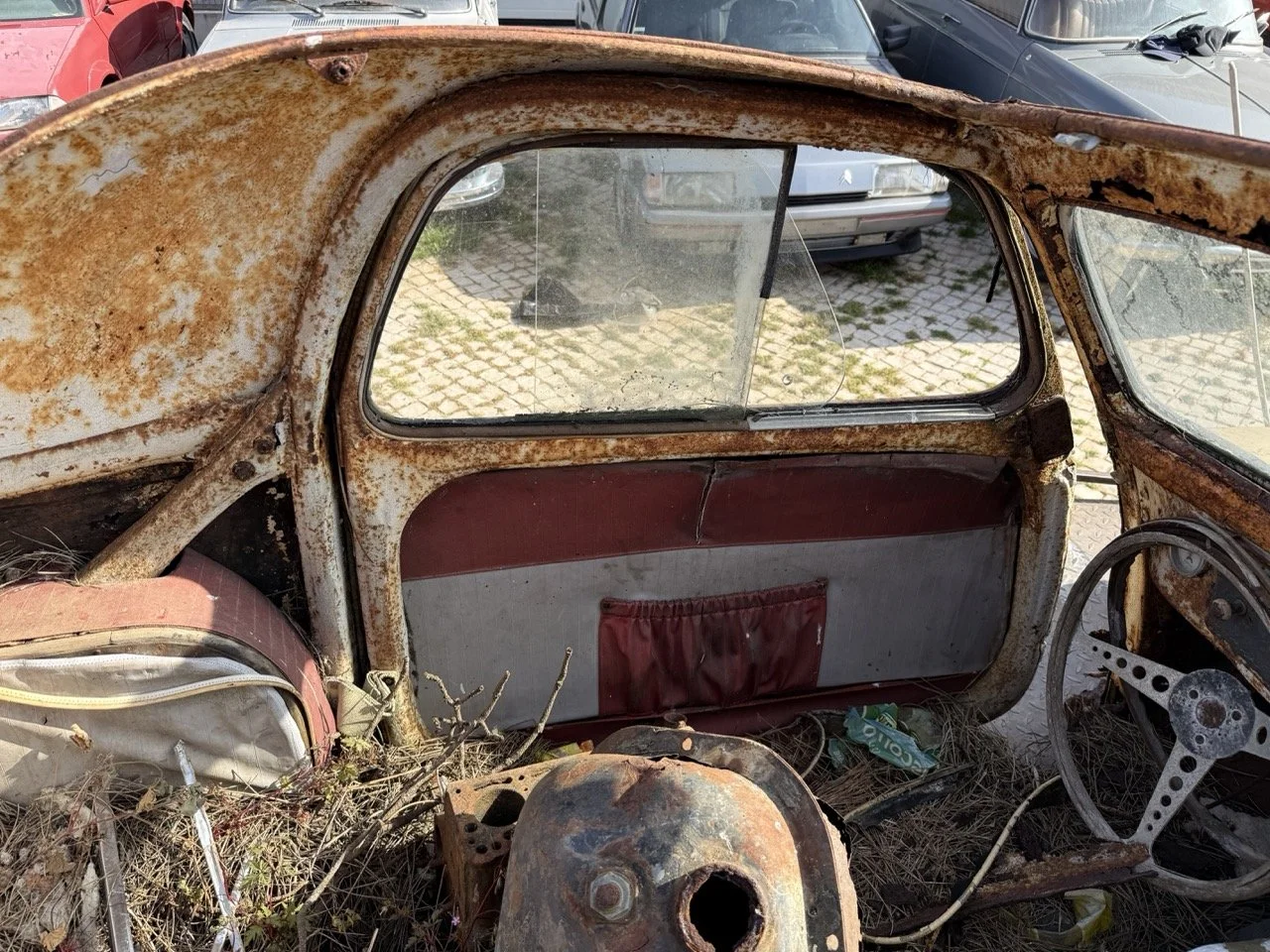 IMG_3170 – grande.jpeg