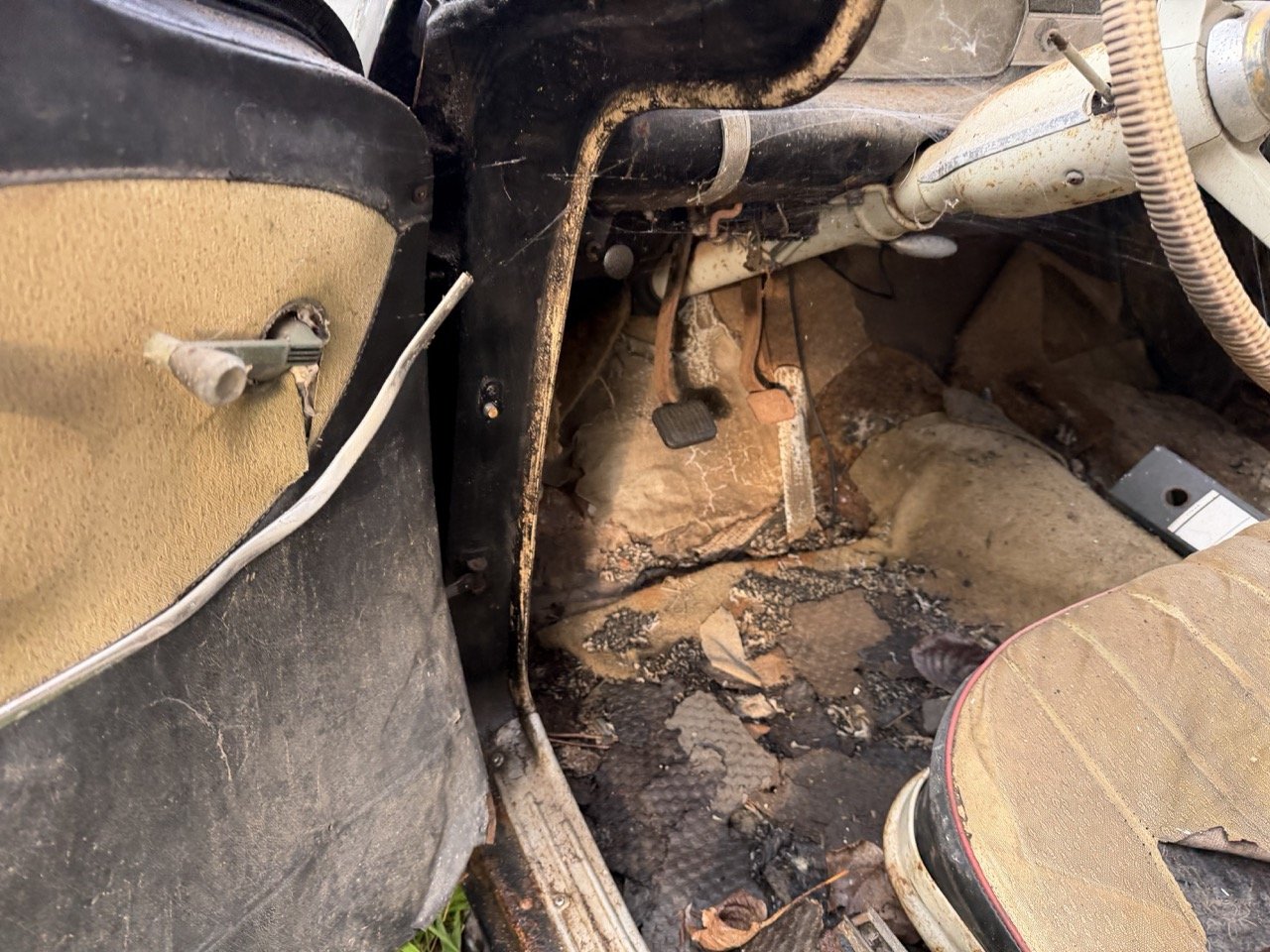 IMG_5083 – grande.jpeg