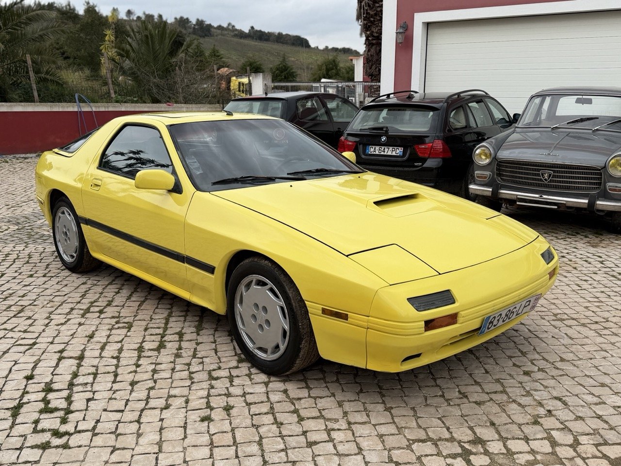 IMG_9690 – grande.jpeg