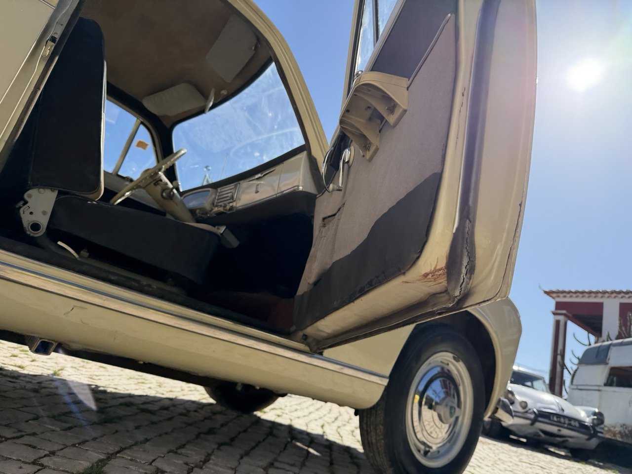 IMG_6697 – grande.jpeg