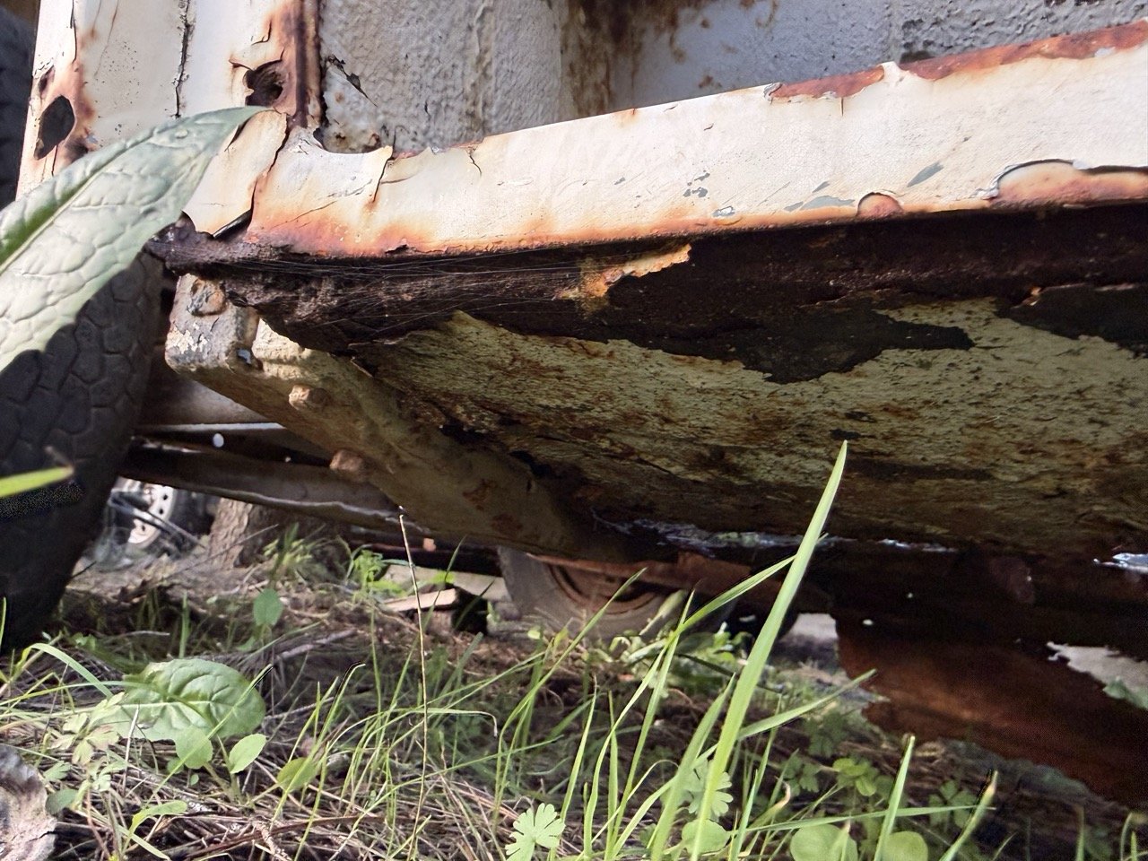 IMG_0911 – grande.jpeg