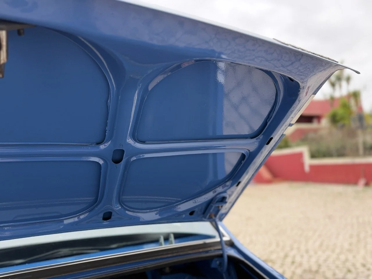 IMG_6058 – grande.jpeg