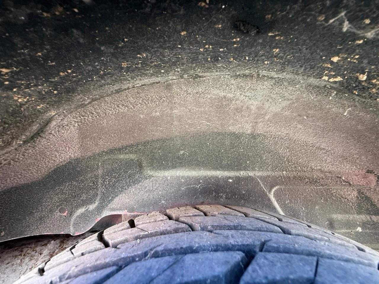 IMG_2119 – grande.jpeg