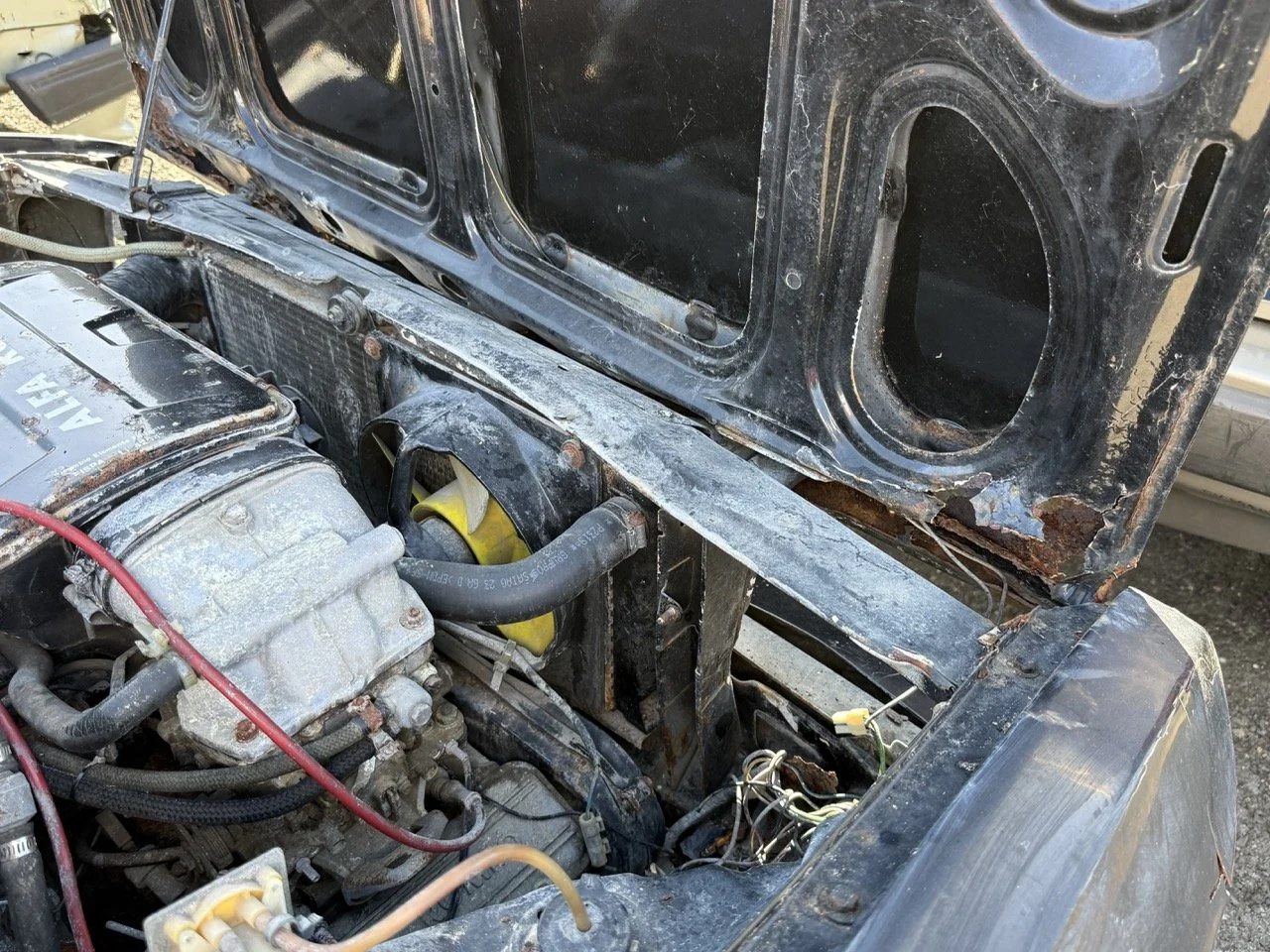 IMG_2934 – grande.jpeg