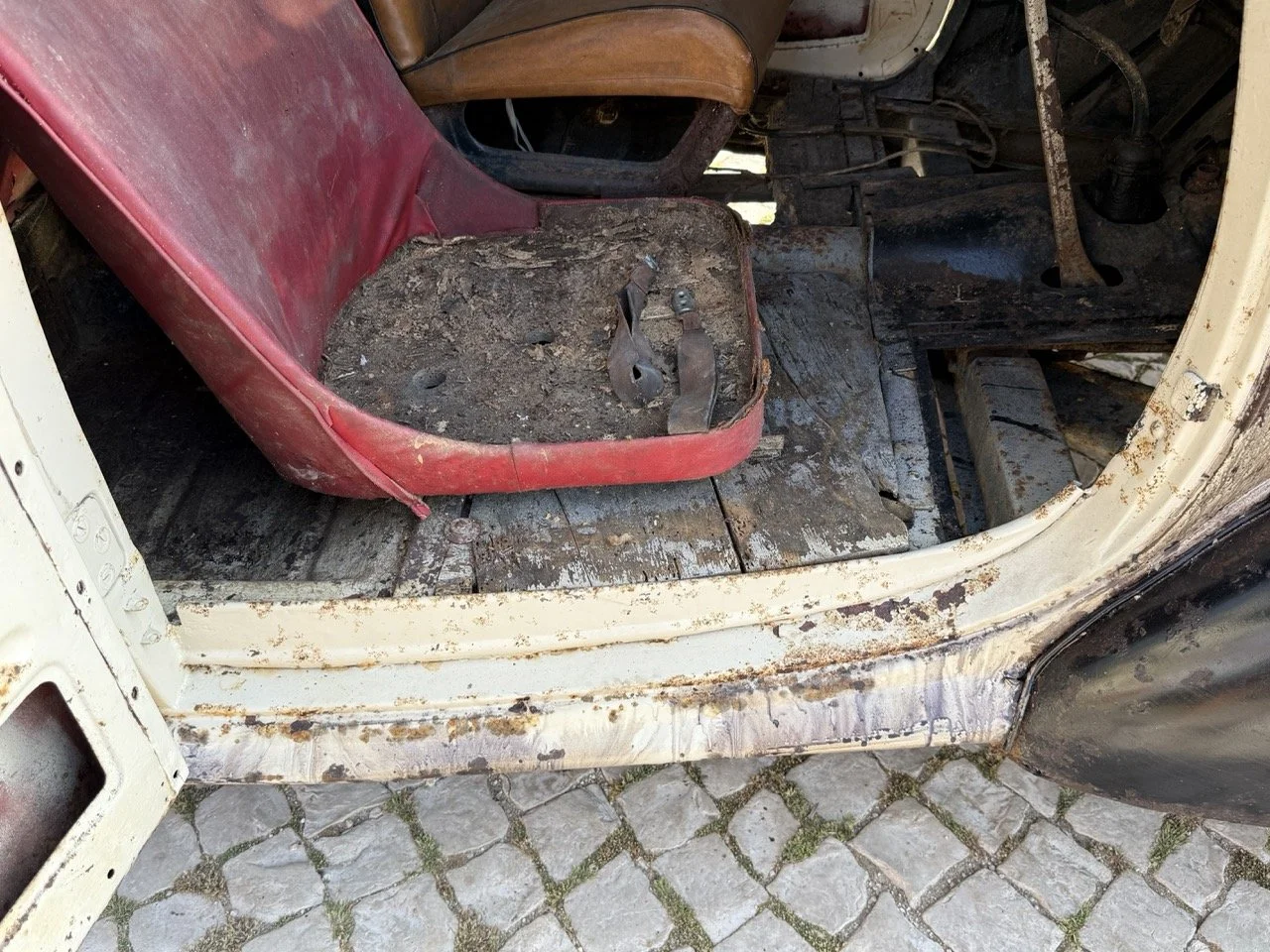 IMG_3719 – grande.jpeg